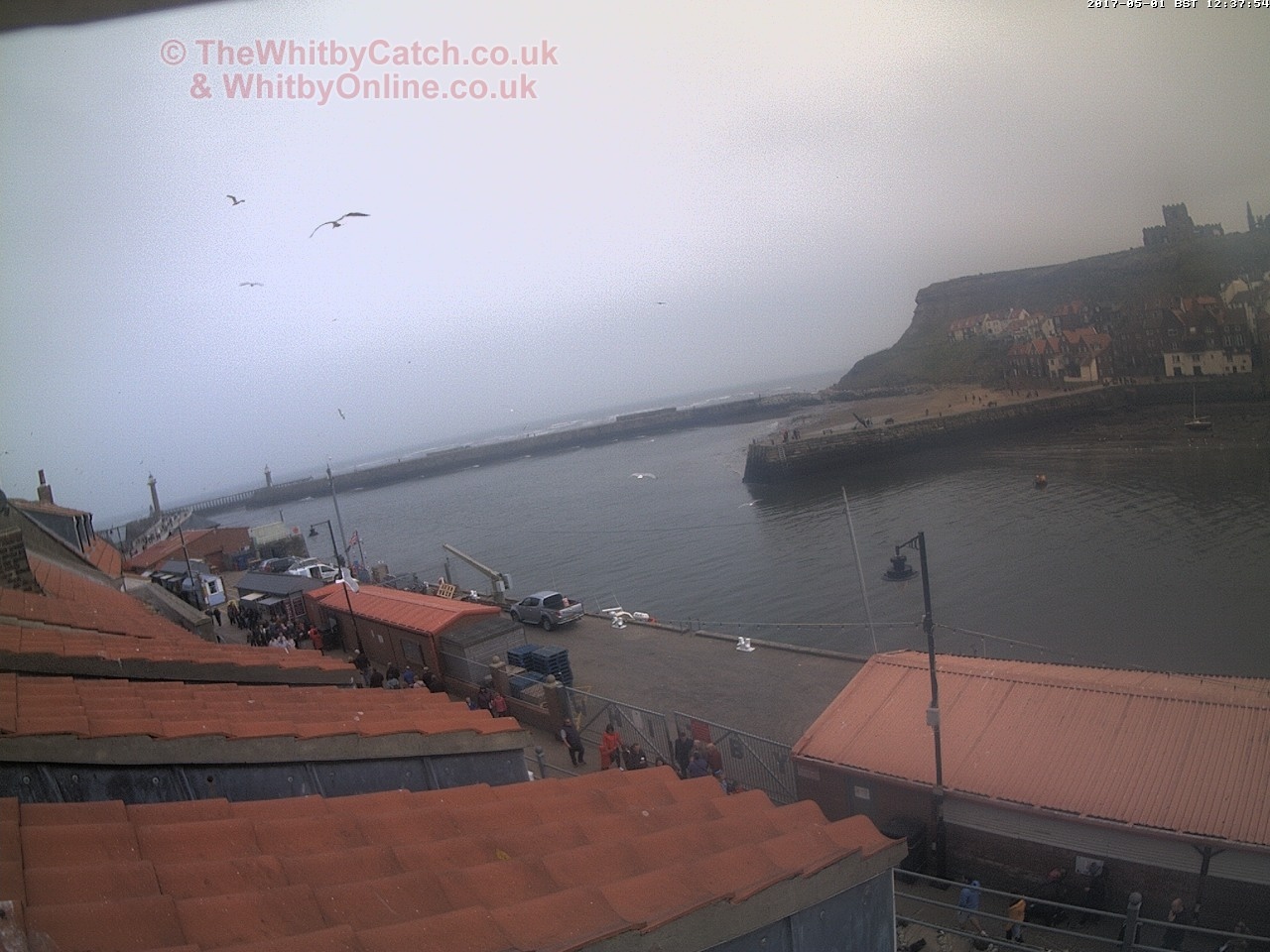 Whitby Mon 1st May 2017 12:38.