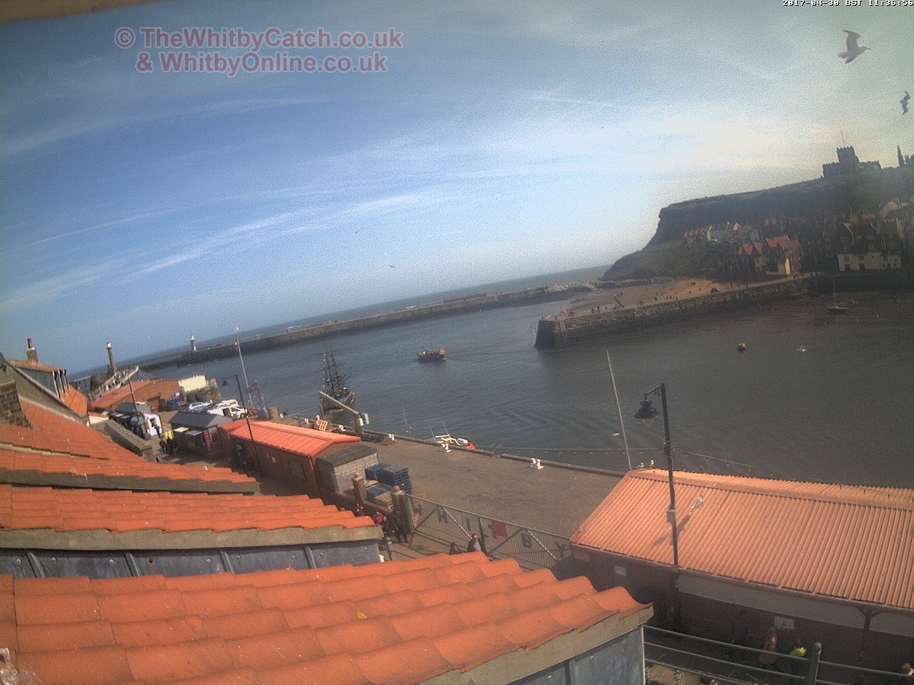 Whitby Sun 30th April 2017 11:37.