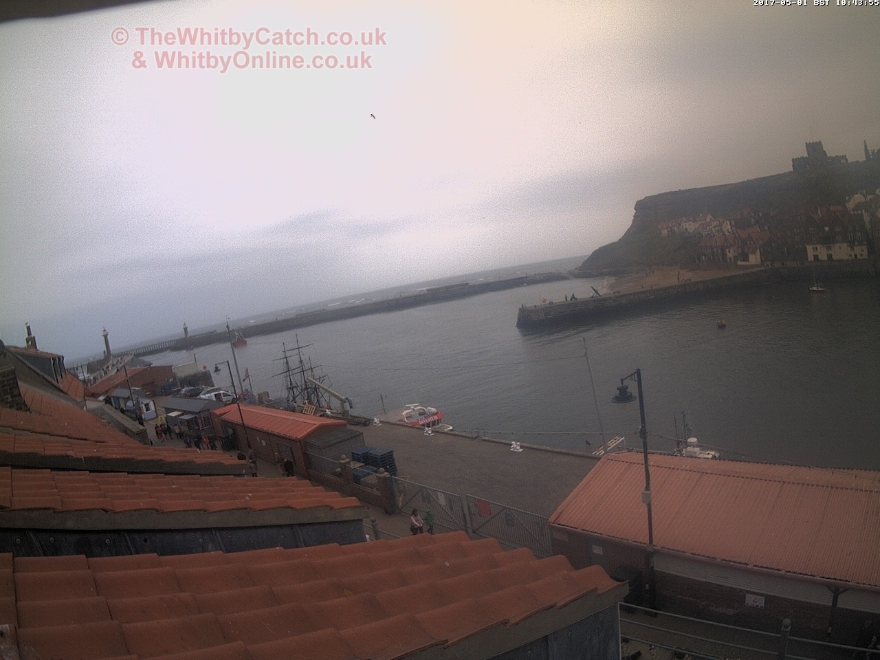 Whitby Mon 1st May 2017 10:44.