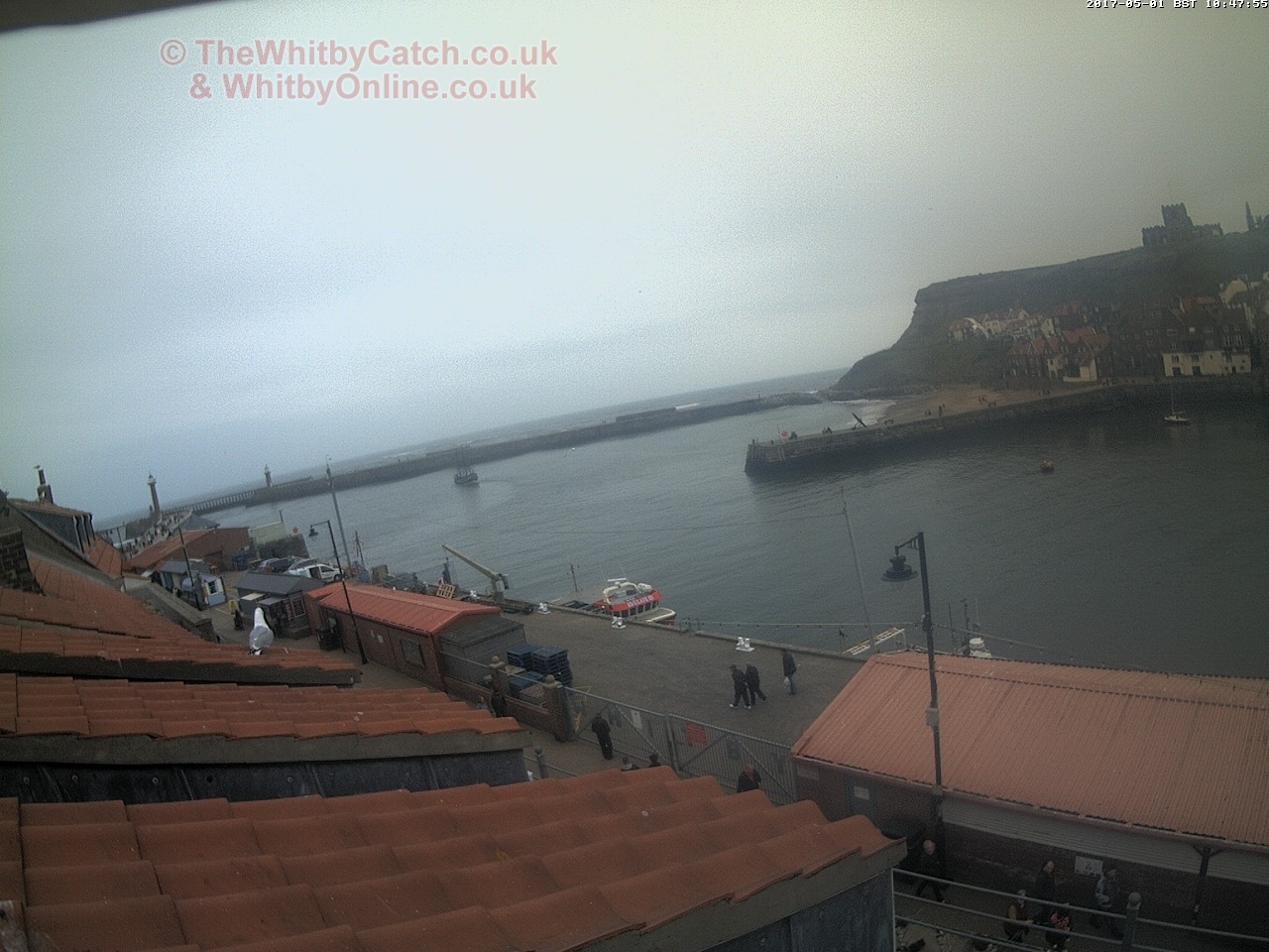 Whitby Mon 1st May 2017 10:48.