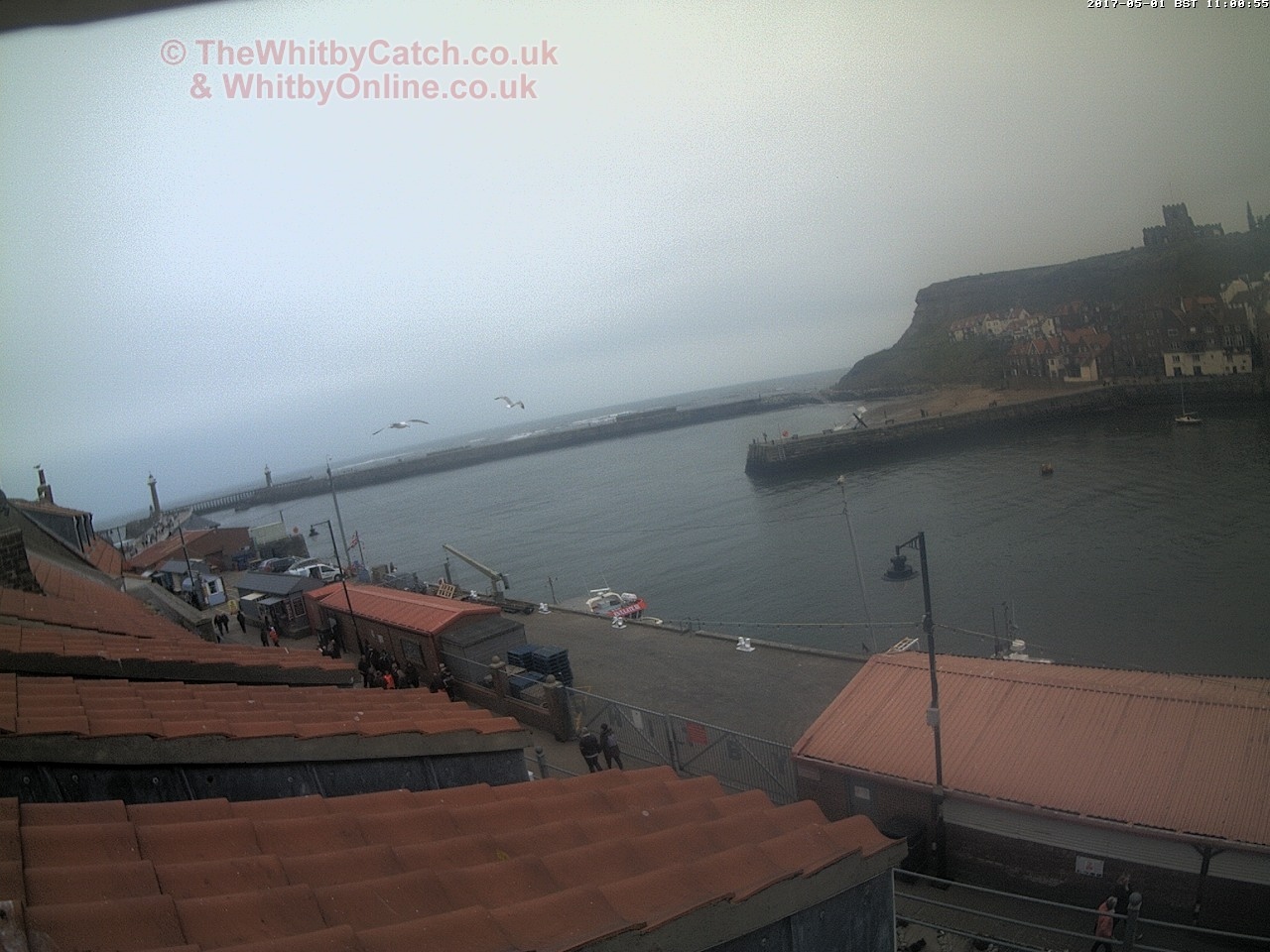 Whitby Mon 1st May 2017 11:01.
