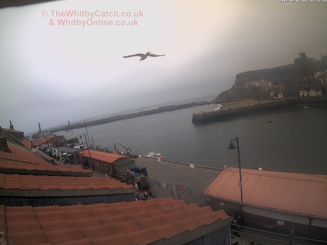 Whitby Mon 1st May 2017 11:22.