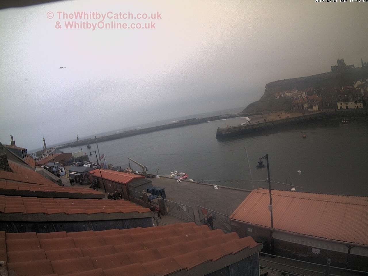 Whitby Mon 1st May 2017 11:23.