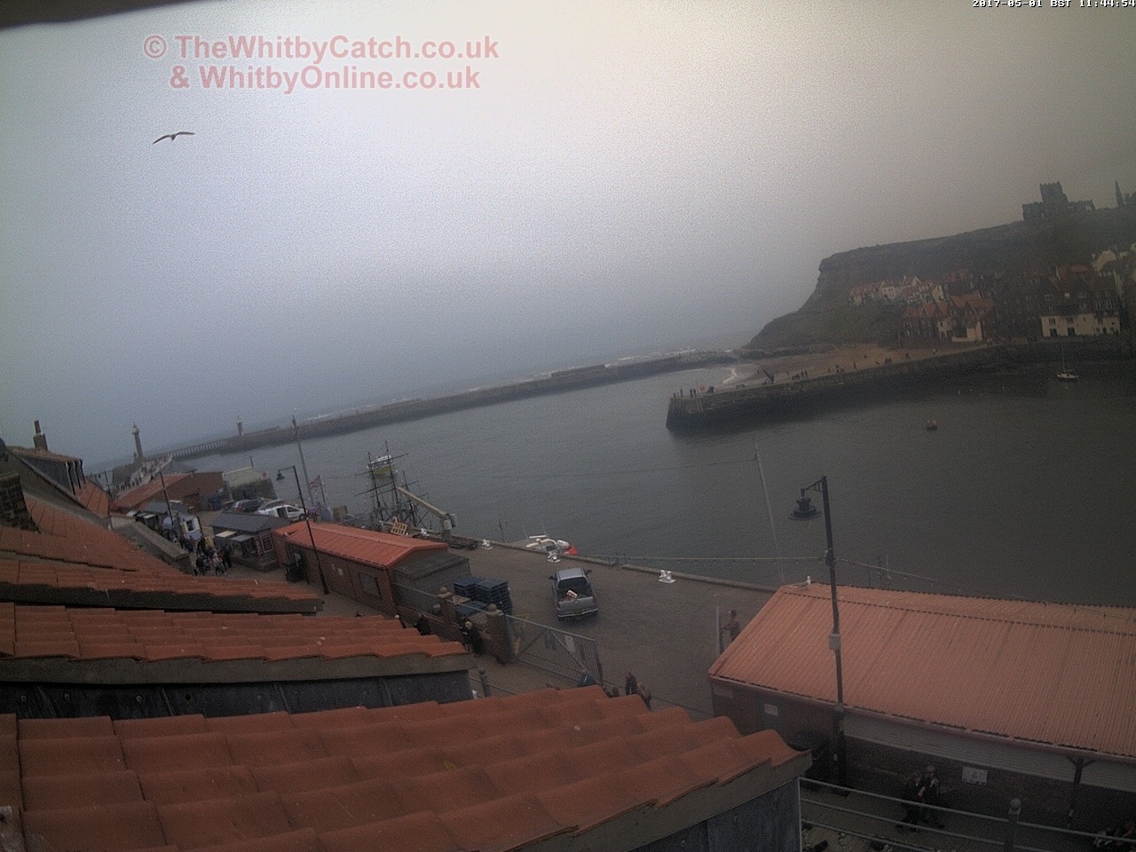 Whitby Mon 1st May 2017 11:45.