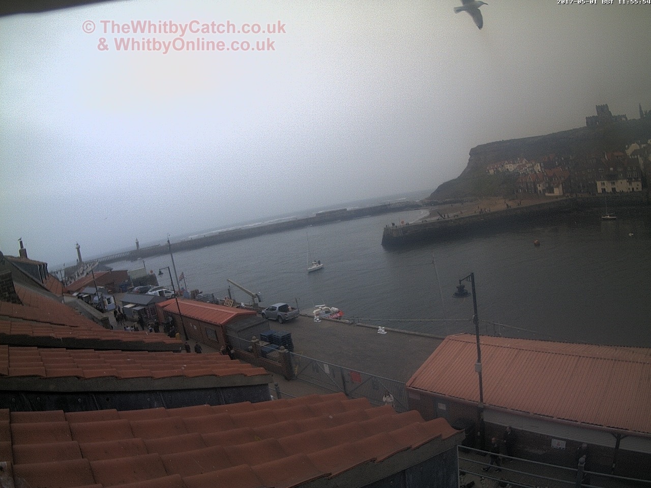 Whitby Mon 1st May 2017 11:56.