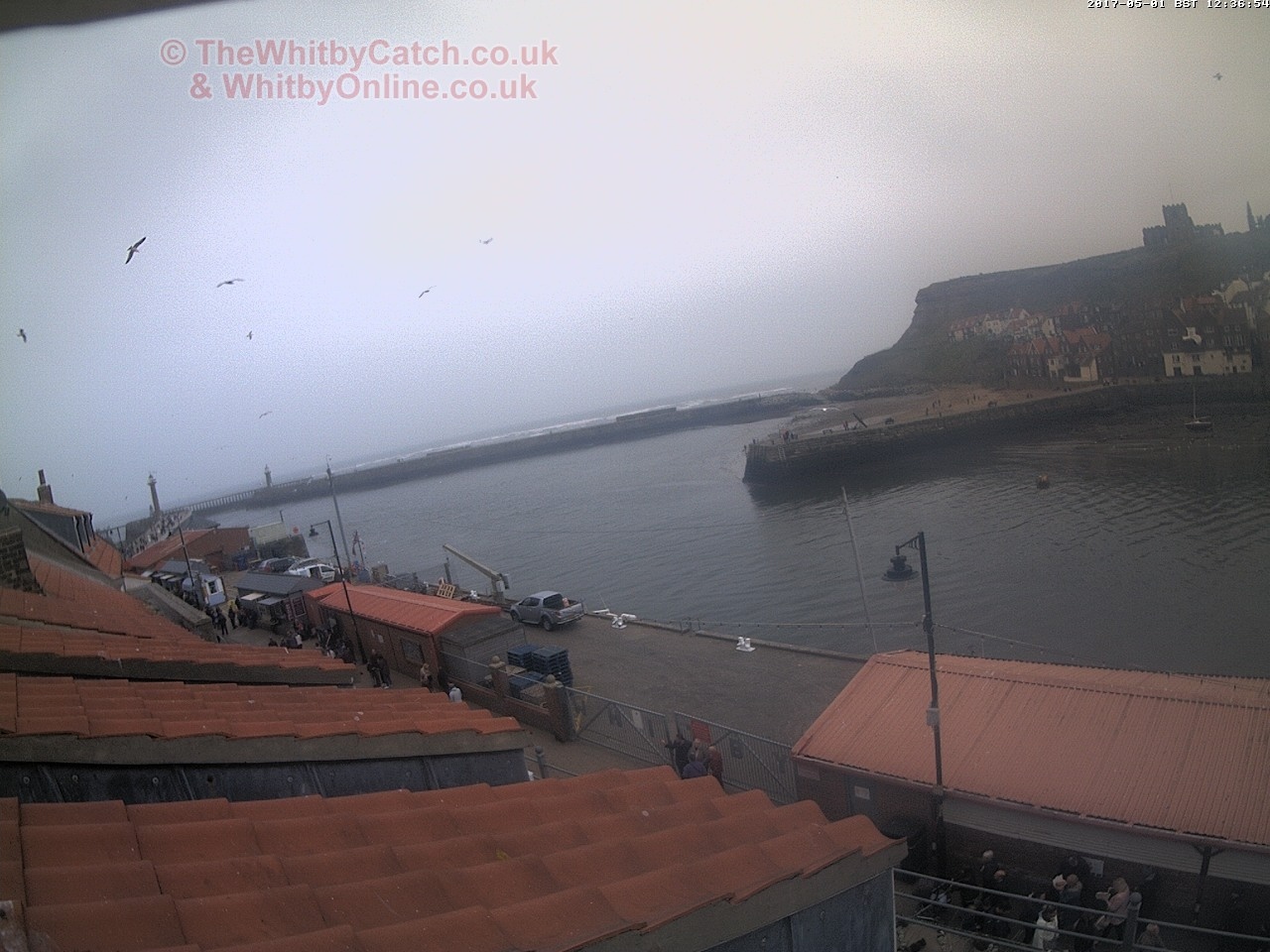 Whitby Mon 1st May 2017 12:37.